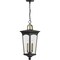 Progress Lighting Chatsworth Collection Black Two-Light Hanging Lantern P550067-031 - alternate 2
